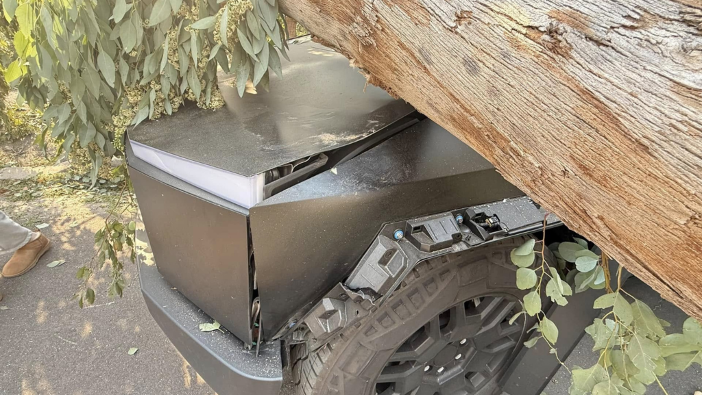 Este árbol desafía la frontera de resistencia de Tesla con un impacto accidental