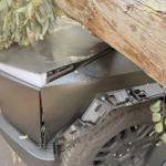 Este árbol desafía la frontera de resistencia de Tesla con un impacto accidental