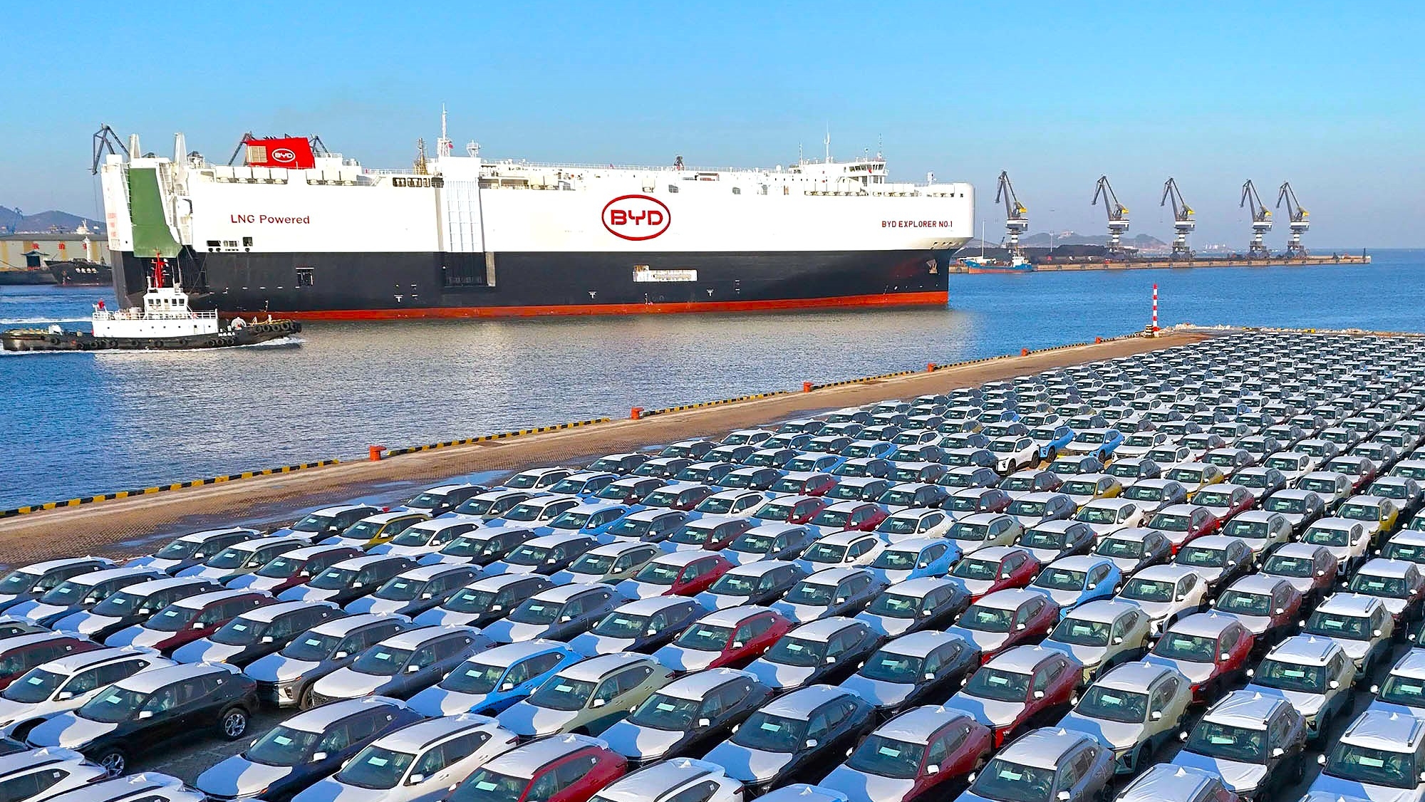 BYD tiene un plan para superar a Tesla como el mayor fabricante mundial de coches eléctricos y comienza por vender parte de sus acciones