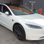 Tesla vs BYD: un desguace analiza de dónde vienen sus piezas (y hay sorpresa)
