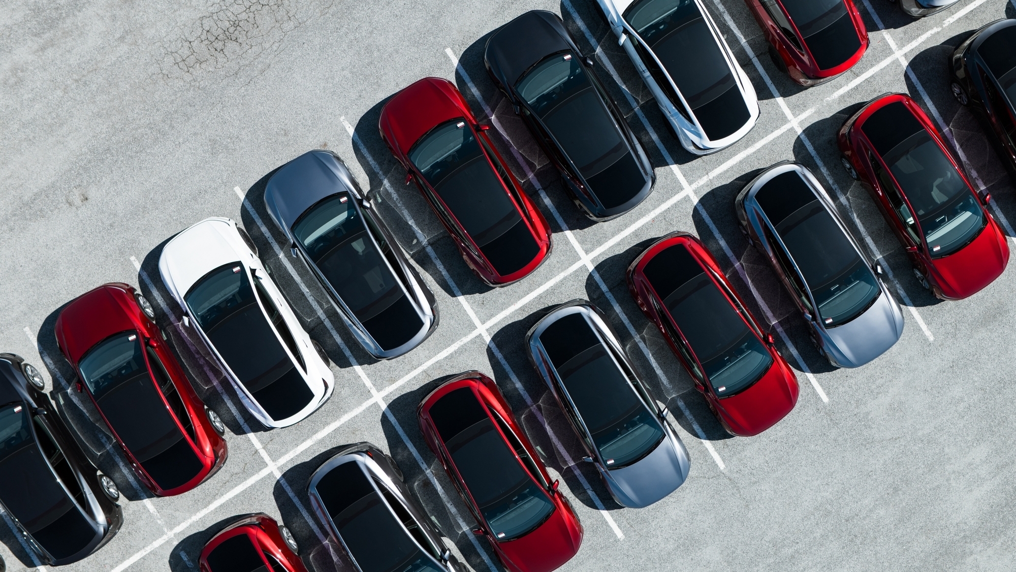 Elon Musk desvela cómo será el coche más barato de Tesla, pero te advertimos que te va a decepcionar