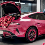 'La mejor marca del mundo' quiere 550.000 ventas en 2026 y ser la más joven en matricular un millón de coches eléctricos