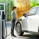 Este es el motivo por el que la Unión Europea ha prohibido los biocombustibles derivados de la soja, endureciendo sus normas ambientales