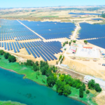 Cerca de Madrid, los 126 MW de 3 plantas fotovoltaicas producen 221.000.000 kWh respetando el pastoreo de ovejas y el cultivo autóctono