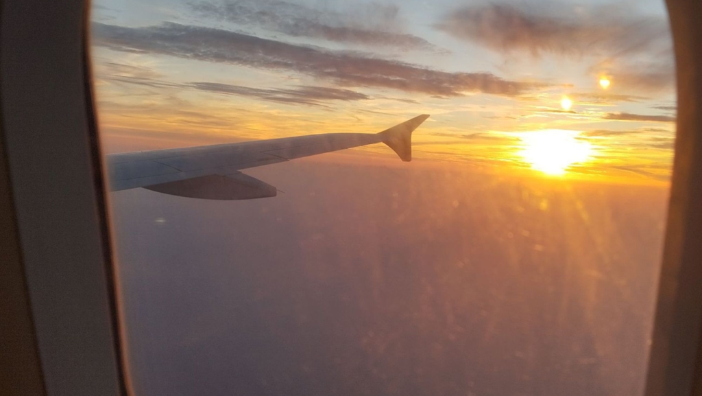 Biocombustibles: ¿son realmente la solución verde que nos prometen?