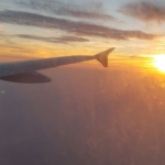 Biocombustibles: ¿son realmente la solución verde que nos prometen?