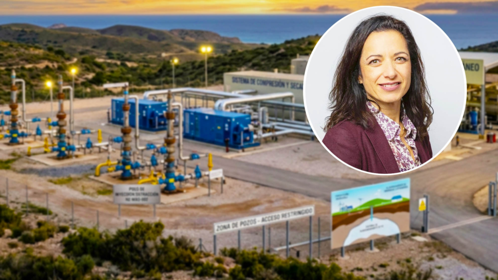 Cristina Yuste, de Trinity Energy Storage: "Sin capacidad de almacenar energía, no es posible construir un sistema renovable estable y seguro"