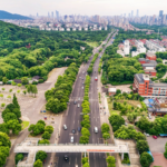 China da una lección tras evitar 262.000 muertes prematuras en 13 años gracias a su política de vehículos eléctricos