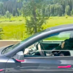 De 'siesta' a 100 km/h: el último fallo de Tesla, y el más peligroso