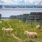 Volkswagen pone a trabajar a 100 ovejas junto a 31.000 placas solares y los animales hacen algo más que mantener el césped corto
