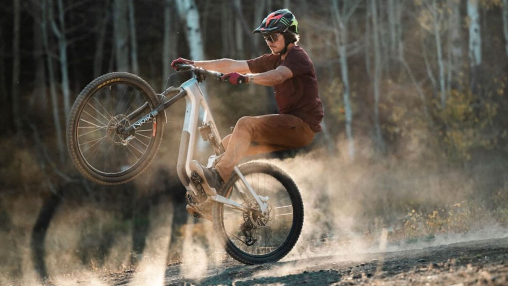 En 4 países europeos ya se venden más bicicletas con motor que sin él: en España, de momento son 2 de cada 10