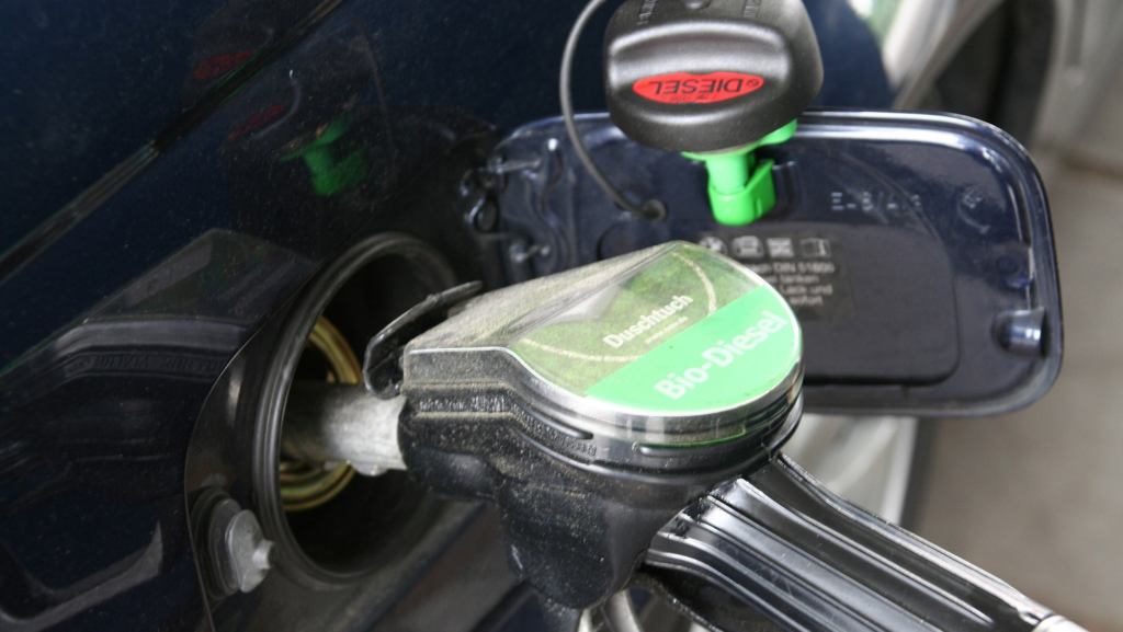 Rusia duplica las ventas de coches eléctricos e híbridos porque empieza a faltar gasolina