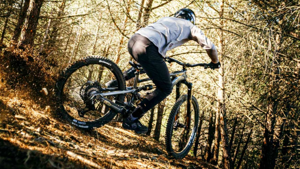 A pesar de sus problemas financieros, esta marca alemana 'resurge de sus cenizas' con una completa gama de eBikes de grandísima calidad
