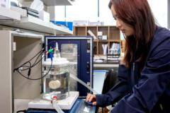 Corea logra producir hidrógeno verde un 99% más barato mediante la electrolisis de agua utilizando electrodos que no precisan de metales nobles