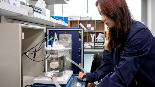 Corea logra producir hidrógeno verde un 99% más barato mediante la electrolisis de agua utilizando electrodos que no precisan de metales nobles